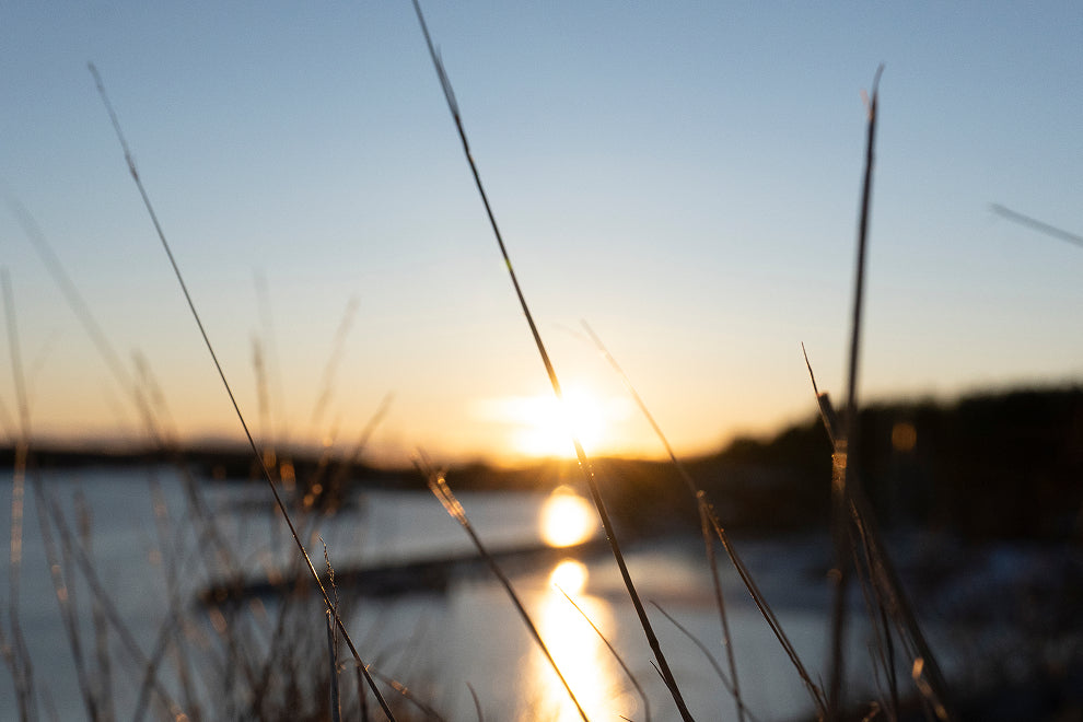Kissed by sunset – Ariane Kabengi